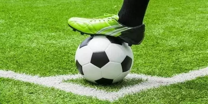 Cá Cược Bóng Đá Cùng NEW88.BLUE Tại Kèo Nhà Cái 2 tỷ lệ cá cược bóng đá